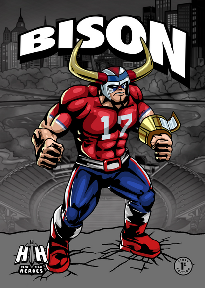 Home Team Heroes Football Poster
