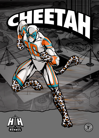 Home Team Heroes Football Poster